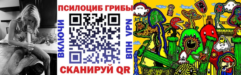 дарнет шоп  Партизанск  mega ссылки  Псилоцибиновые грибы Magic Shrooms 